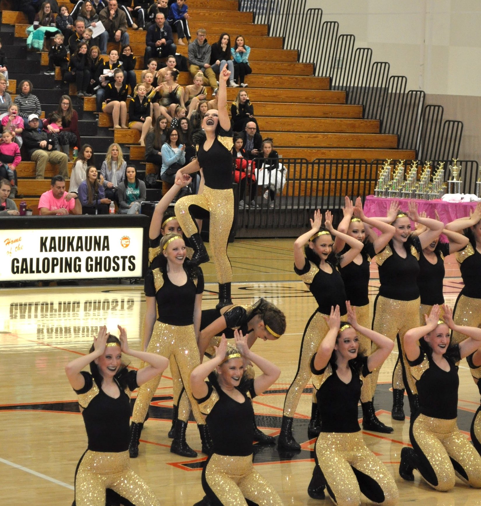 Competition Season Recap 2017 Wisconsin State Dance Teams